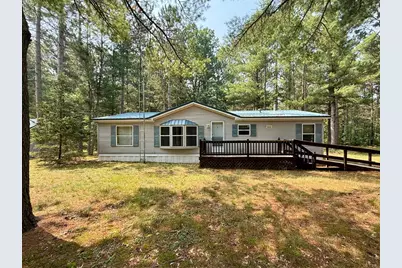 333 E 20th Street, Baldwin, MI 49304 - Photo 1