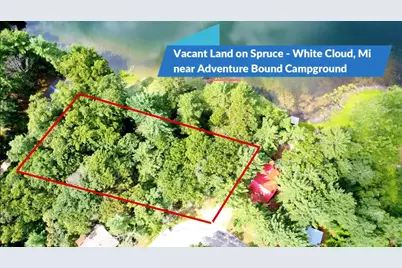 Vacant S Spruce Avenue, White Cloud, MI 49349 - Photo 1