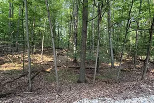 9619 Calgary Dr S, Canadian Lakes, MI 49346 - Photo 1