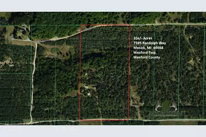 7595 Randolph Way, Mesick, MI 49668 - Photo 1