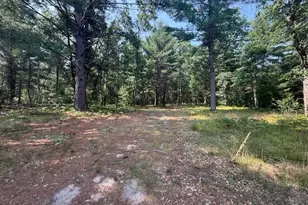 624 W 12th St, Baldwin, MI 49304 - Photo 1