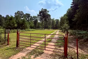 1 River Rd, Brethren, MI 49619 - Photo 1