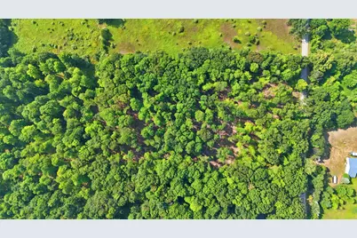 5 Acres V/L Cottonwood, Big Rapids, MI 49307 - Photo 1