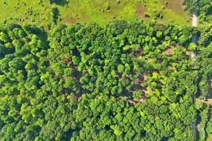 5 Acres V/L Cottonwood, Big Rapids, MI 49307 - Photo 1