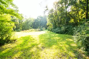 Vl Walnut St, Dowagiac, MI 49047 - Photo 1