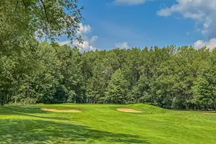 7480 Regency Ln, Canadian Lakes, MI 49346 - Photo 1