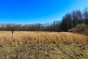 Lot 9 Foster Ln, South Haven, MI 49090 - Photo 1