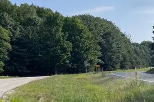 M22 Northwood Hwy, Arcadia, MI 49613 - Photo 1