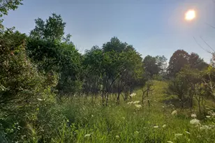 S 132nd Ave, Hesperia, MI 49421 - Photo 1