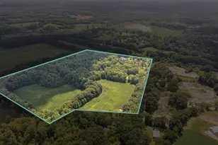 V/L N Sandstone Rd, Jackson, MI 49201 - Photo 1