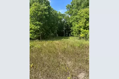 V/L 108th Avenue, Allegan, MI 49010 - Photo 1