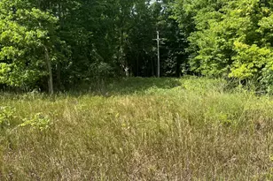 V/L 108th Ave, Allegan, MI 49010 - Photo 1