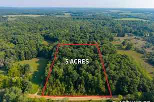 Parcel 2 E Arthur Rd, Rothbury, MI 49452 - Photo 1