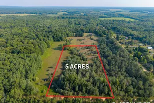 Parcel 4 E Arthur Rd, Rothbury, MI 49452 - Photo 1