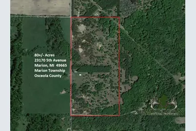 23170 N 5th Avenue, Marion, MI 49665 - Photo 1