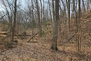 Dunewood Dr, Bridgman, MI 49106 - Photo 1