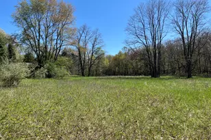 540 Bailey Meadows Dr NE, Ada, MI 49301 - Photo 1