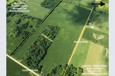 80Acres Monroe Road, Blanchard, MI 49310 - Photo 1