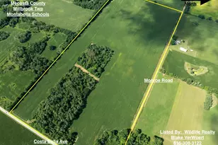 80Acres Monroe Rd, Blanchard, MI 49310 - Photo 1