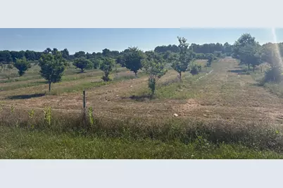 Leach Rd, Dowagiac, MI 49047 - Photo 1