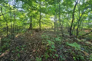 Vl Oaklea Ave, Muskegon, MI 49442 - Photo 1