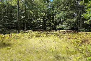 0 5 Mile Rd, Hesperia, MI 49421 - Photo 1