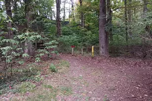 Linwood, Harbert, MI 49115 - Photo 1