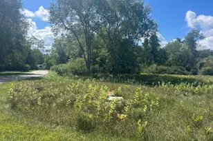 8765 Edgewater Dr, Canadian Lakes, MI 49346 - Photo 1