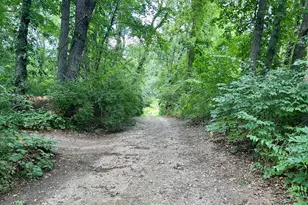 Vl 68890 Oak St St, Sturgis, MI 49091 - Photo 1