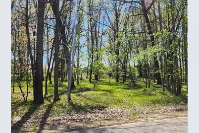 6923 Abbey Lane, Canadian Lakes, MI 49346 - Photo 1