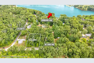 V/L W 3 Mile Road, White Cloud, MI 49349 - Photo 1