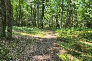 231 W Runway Dr, Luther, MI 49656 - Photo 1