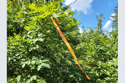 Vl 4.5 Acr Wilderness Trail, Luther, MI 49656 - Photo 1