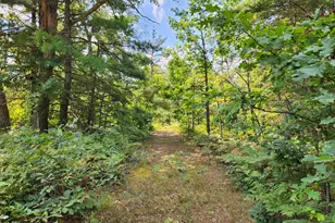 Par 1 Wilderness Trail, Luther, MI 49656 - Photo 1
