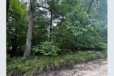 00 W 5 Mile Road, Irons, MI 49644 - Photo 1