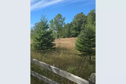 11750 17 Mile Road, Leroy, MI 49655 - Photo 1