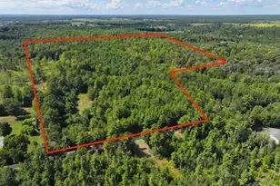 V/L 70 66A N Everett Rd, Harrisville, MI 48740 - Photo 1