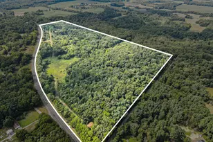 V/L US 12, White Pigeon, MI 49099 - Photo 1