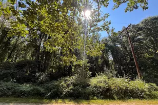Central Dr, Grass Lake, MI 49240 - Photo 1