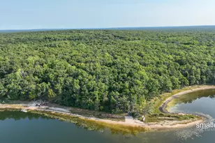 Vl-018 W Sandy Beach Ln, Bitely, MI 49309 - Photo 1