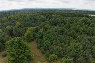 Lumley Rd, Bear Lake, MI 49614 - Photo 1