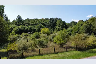 Vl Meadow Lane, Lawrence, MI 49064 - Photo 1