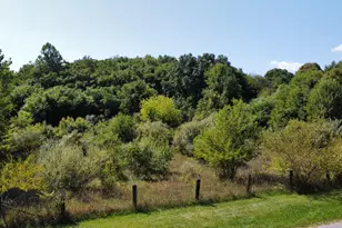 Vl Meadow Ln, Lawrence, MI 49064 - Photo 1