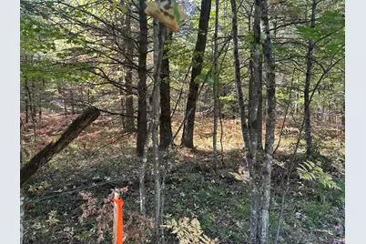 Par B 16th Street, Baldwin, MI 49304 - Photo 1