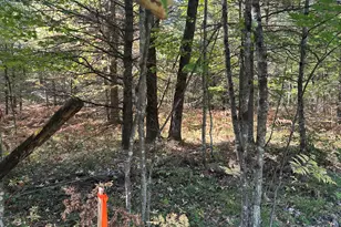 Par B 16th St, Baldwin, MI 49304 - Photo 1