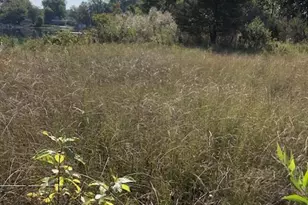 7 Pickeral Ave, Union, MI 49130 - Photo 1