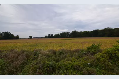 Rierson Road, Bronson, MI 49028 - Photo 1