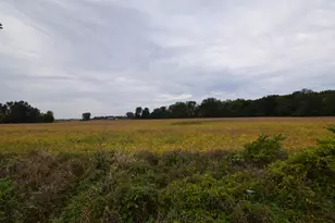 Rierson Rd, Bronson, MI 49028 - Photo 1