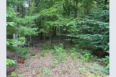 Lot 62, 14th Avenue, Mears, MI 49436 - Photo 1