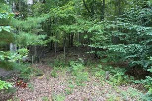 Lot 62 14th Ave, Mears, MI 49436 - Photo 1